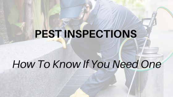 Pest Inspections