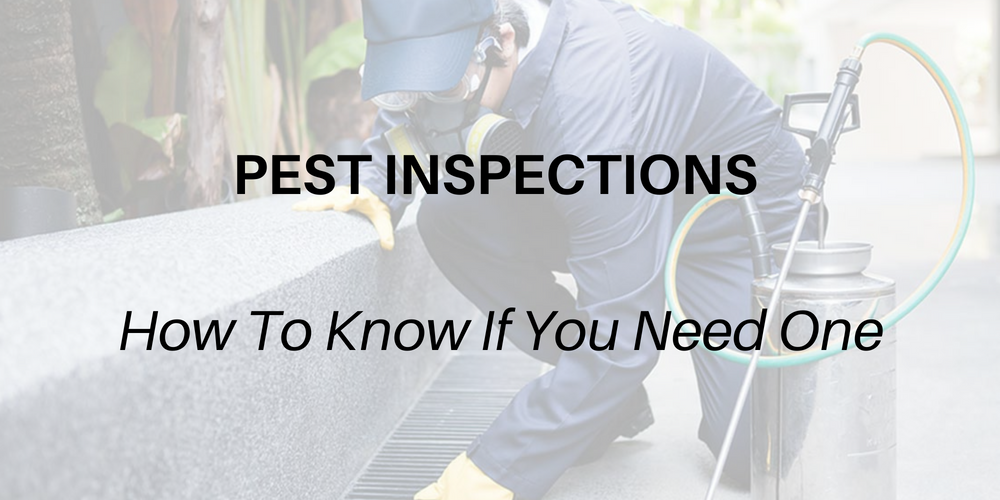 Pest Inspections